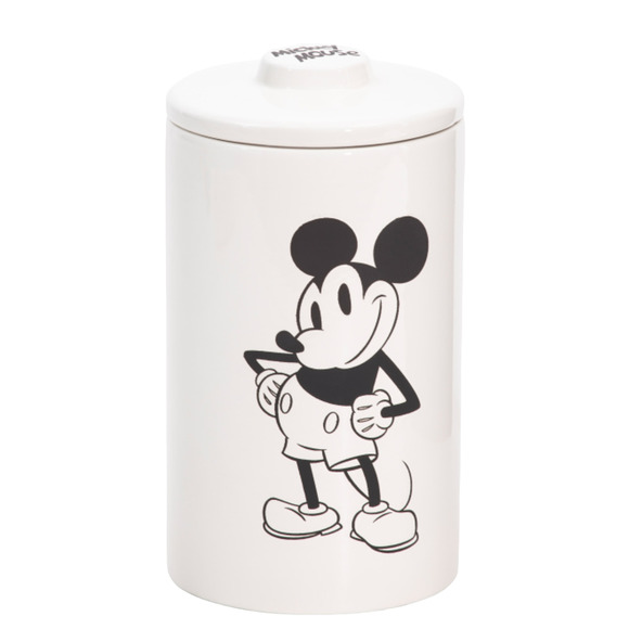 DISNEY Mickey Posed Canister - Picture 1 of 2